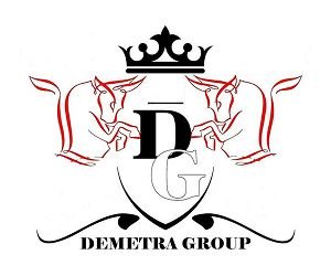 logo demetragroup